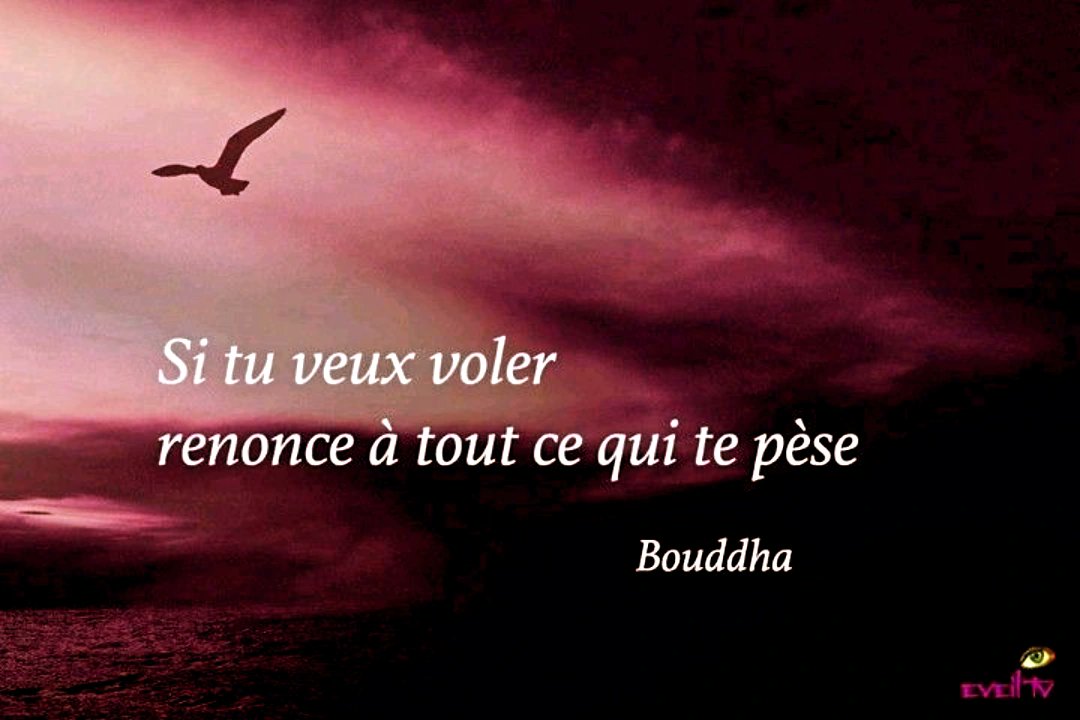 Qualite CM tweet media