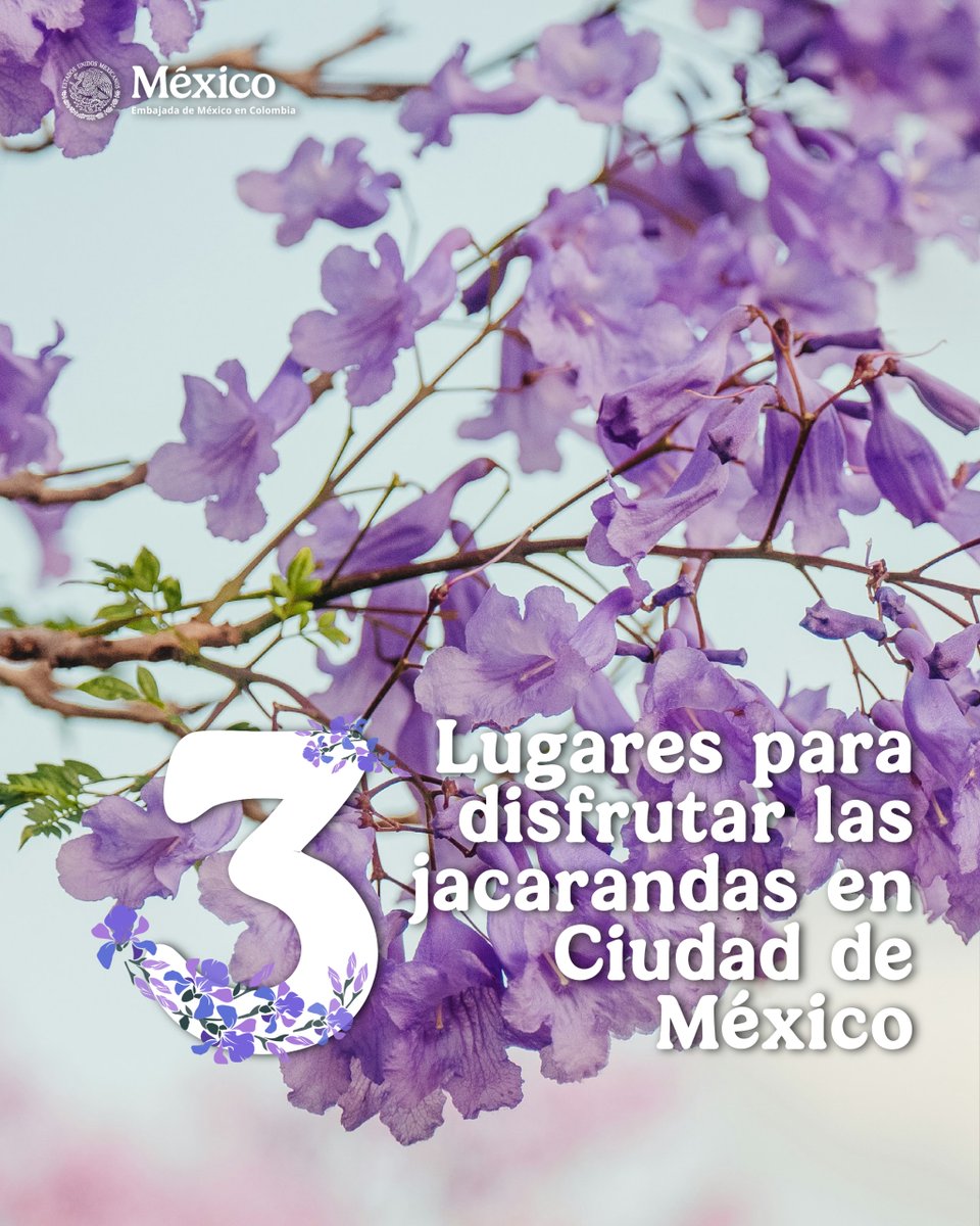 EmbaMex Colombia tweet media