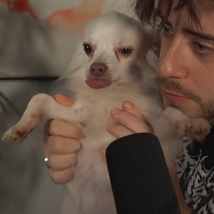 cellpets tweet media