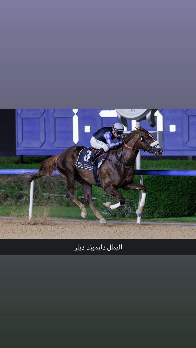 عبدالعزيز بن أحمد tweet media