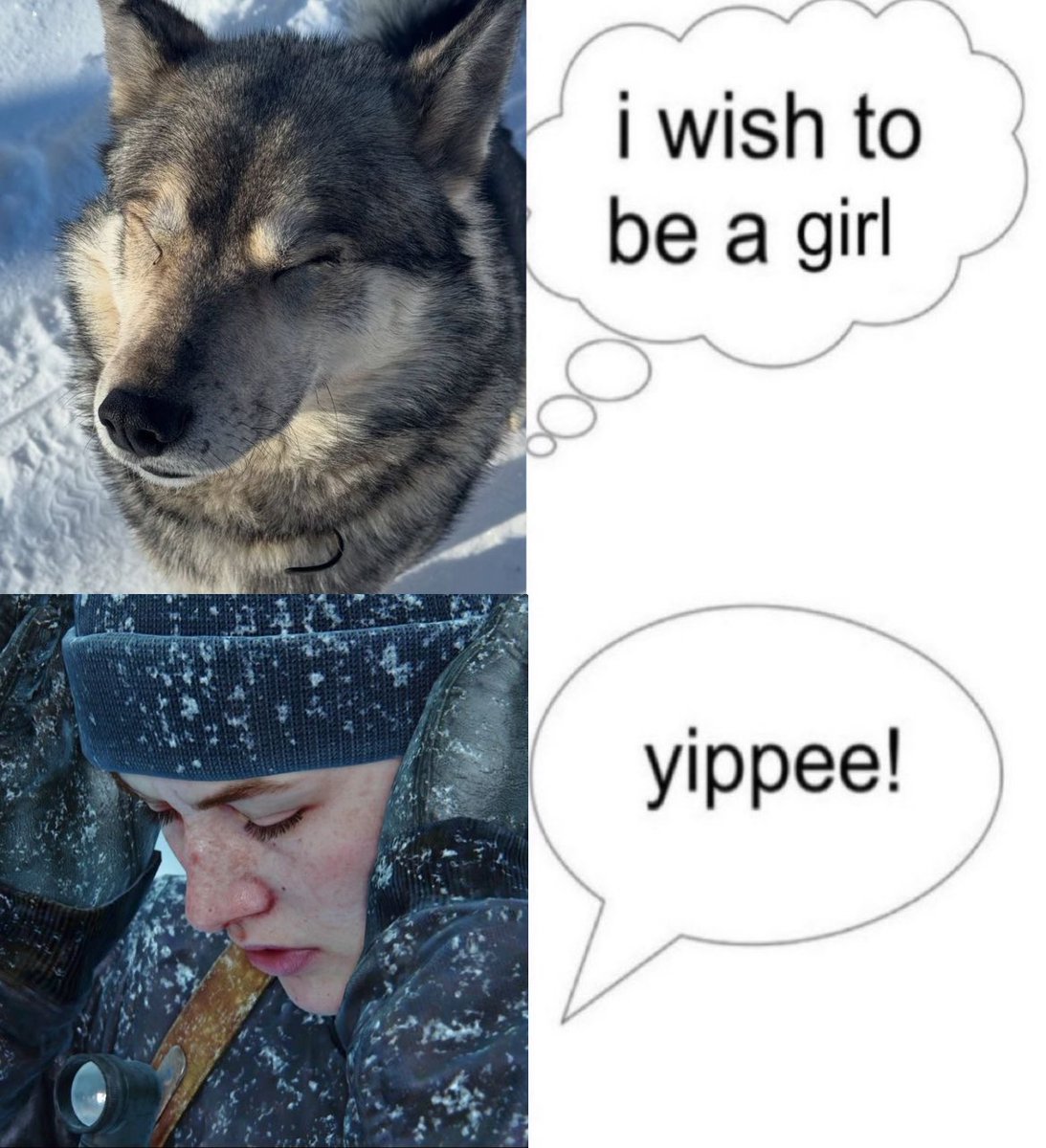 haya ⋆ ˚｡ tweet media