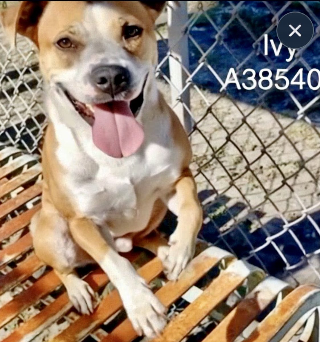 Cheryl Ramirez tweet media