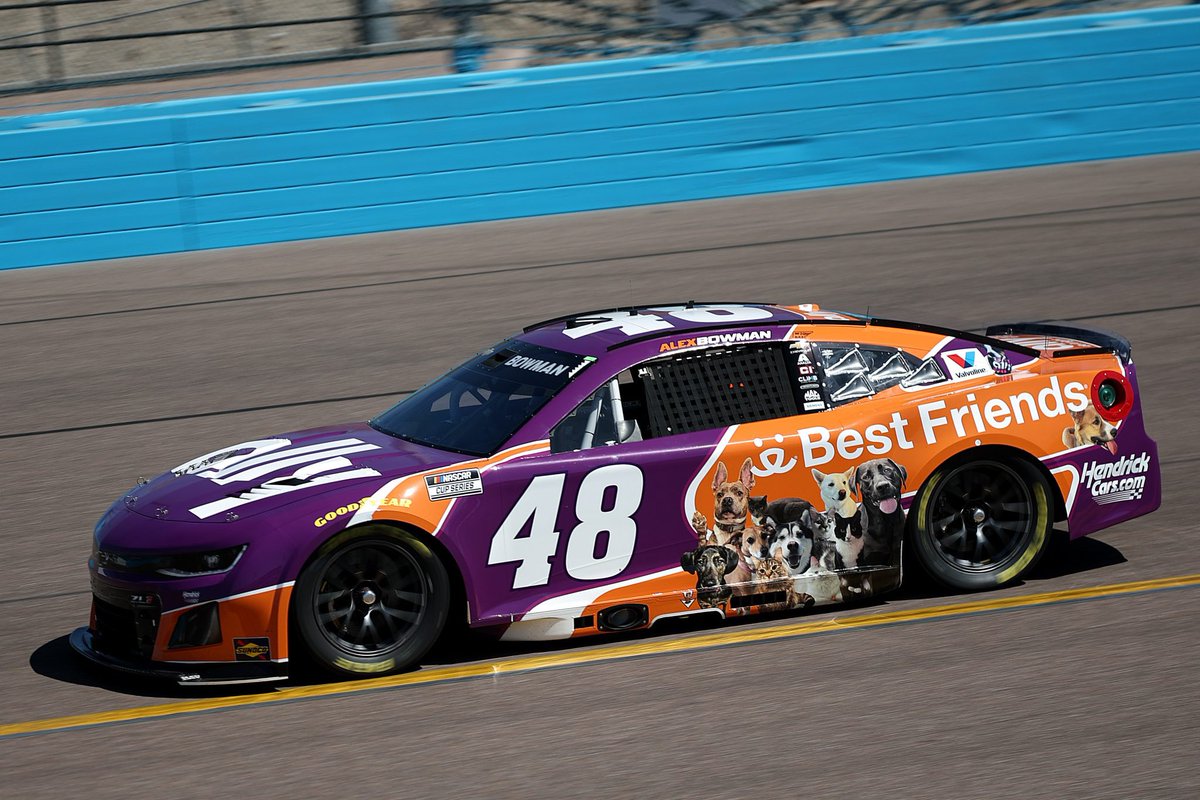 Ashley 🐹🍜 tweet media