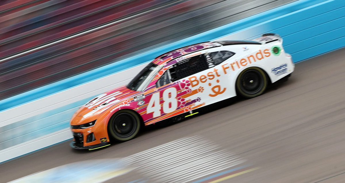 Ashley 🐹🍜 tweet media