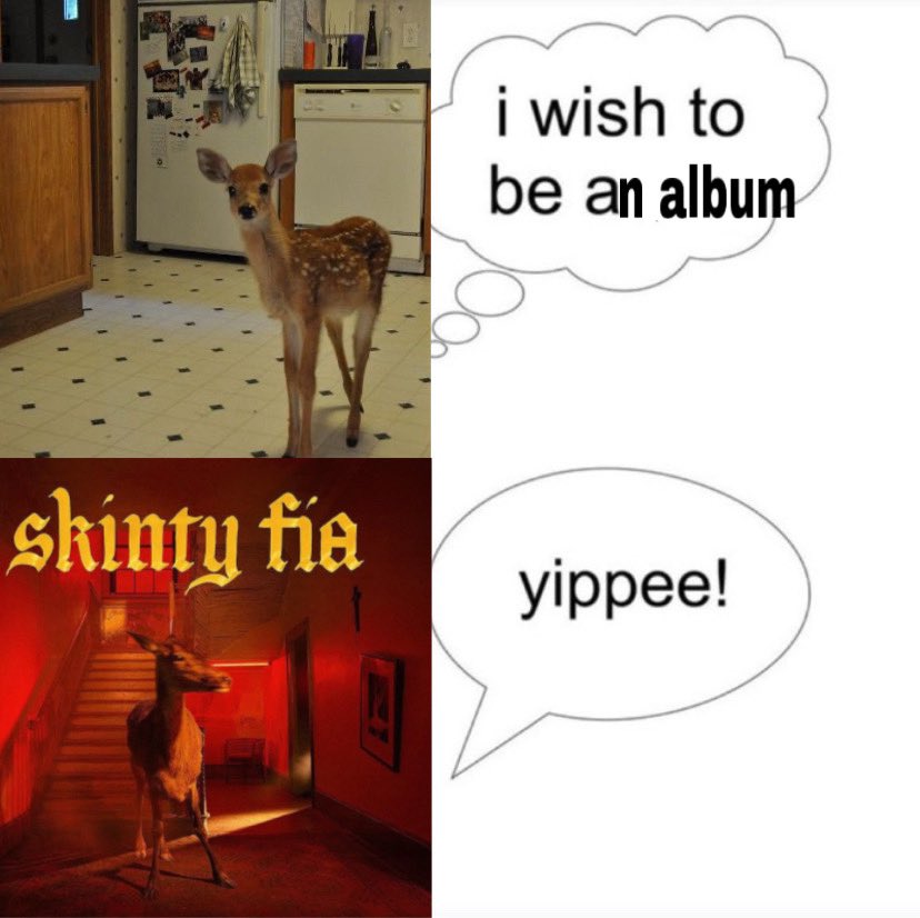 bree 🇵🇸 tweet media