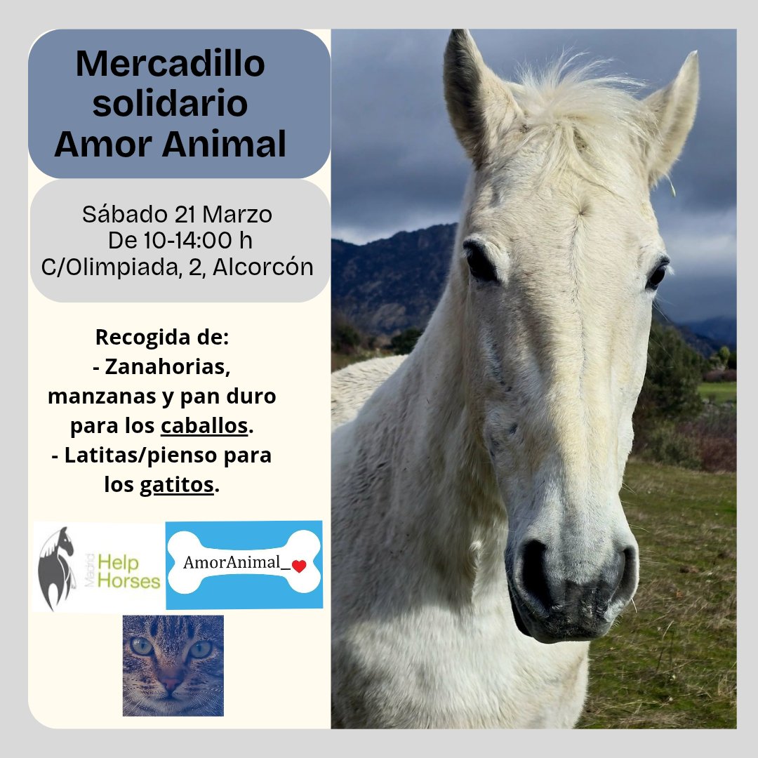 Mercadillo Solidario en @amoranimal_alcorcon. Volvemos a su 🎪 tiendita de productos para nuestros mejores amigos, los peluditos 🐶😺🐰🐹 y nos reservan un hueco para ayudarnos.
Sábado 21 de Marzo en Calle Olimpiada n° 2 en Alcorcón. ⏰ En horario de 10 a 14 horas estaremos allí.