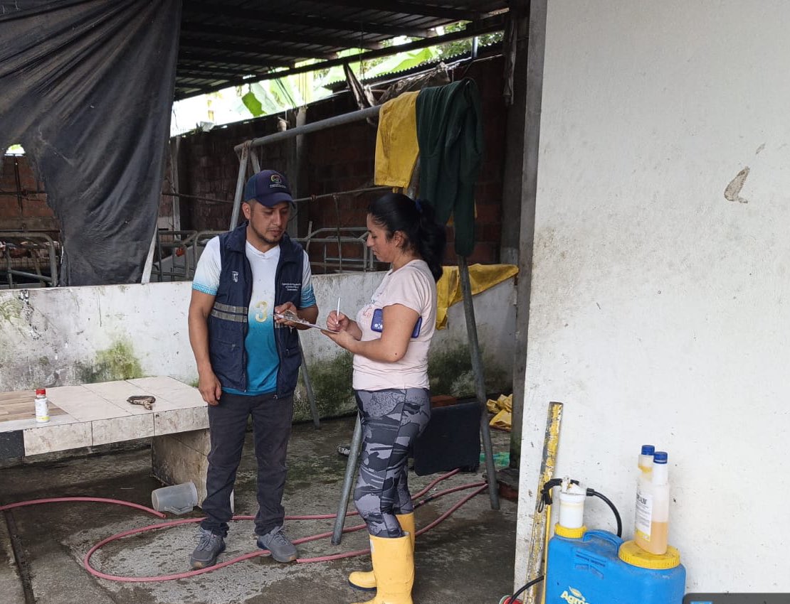 #Cañar | Fiscalizamos granjas porcinas de traspatio a pequeños productores en el cantón La Troncal, verificando la correcta aplicación de medidas de bioseguridad.
#PrevenciónSanitaria