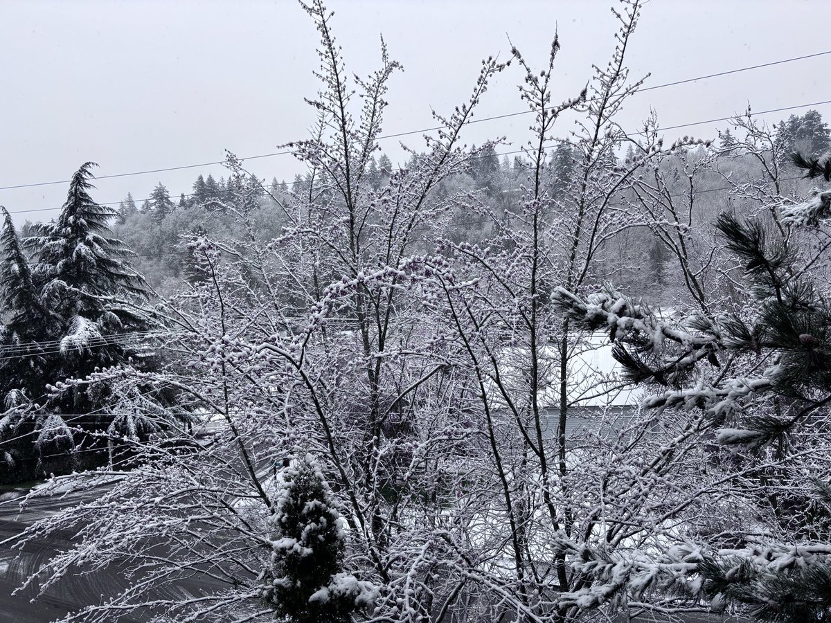 electroscribe's tweet photo. @angryseattle Mercer Island https://t.co/fZNx3wotIJ