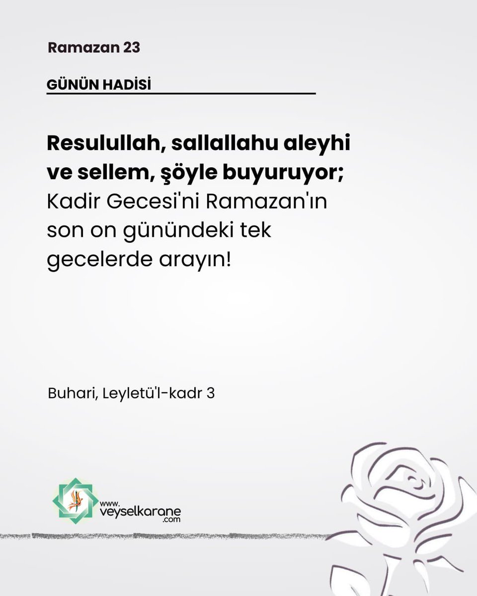 Özlem Okul tweet media