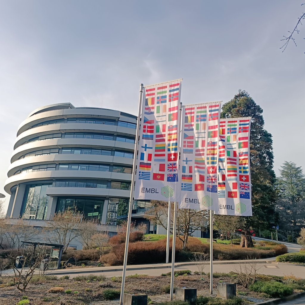 Nuria Ferrandiz (@nuriaferrandiz.bsky.social) tweet media