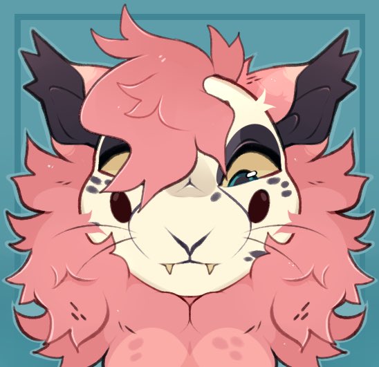 LOWCADII tweet media