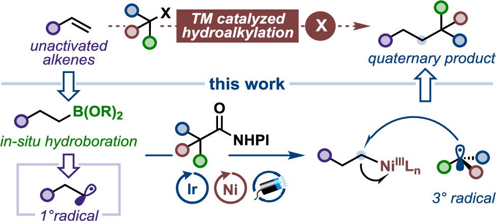 Boron_Chemistry's tweet photo. Boron-Mediated Hydroalkylation of Unactivated Olefins: An Anti-Markovnikov Approach to Congested Carbon Center (@VarinderAggar11, @AggarwalLab): https://t.co/PUAFkNP315 (@J_A_C_S). https://t.co/6lhp7528mu