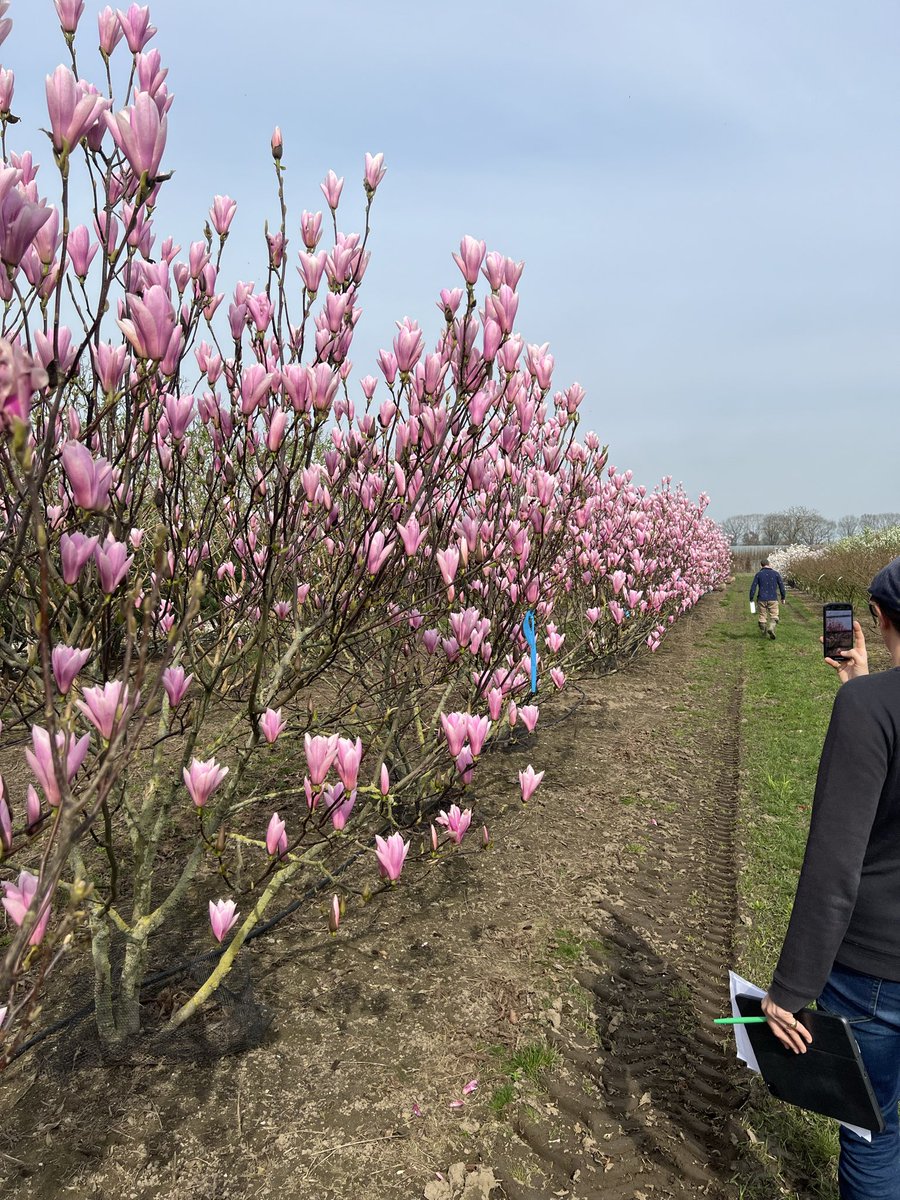 Hortus Loci tweet media