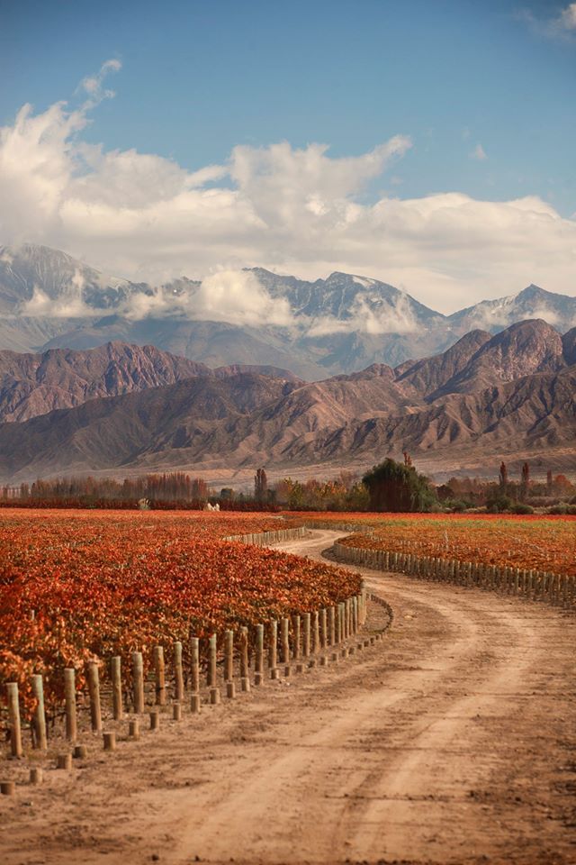 Argentina en Imágenes 🇦🇷 tweet media
