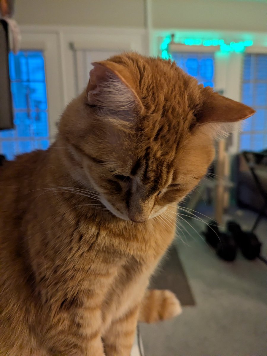 Wrinklynewt (👤$8) tweet media