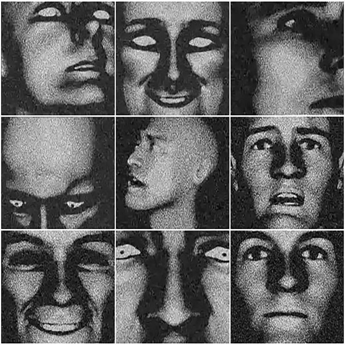 Maple 🍁 tweet media