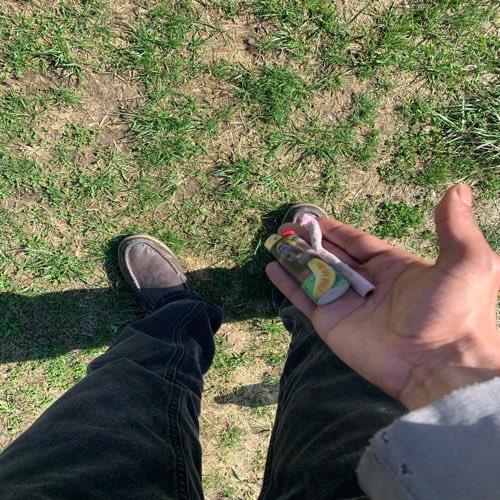 black dawg 🐾 tweet media