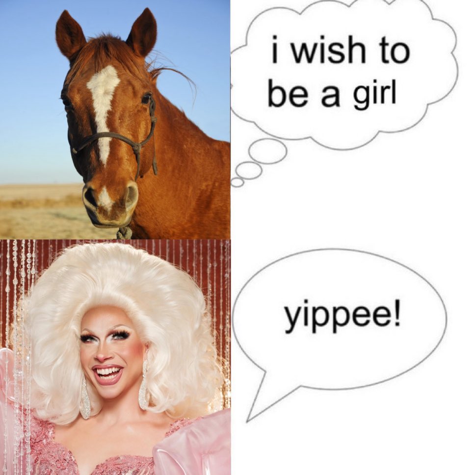 Apollo :3 🦇🦇 (@ch1ckenrat) on Twitter photo 