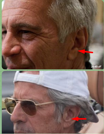 El_árbol_del_descampado tweet media