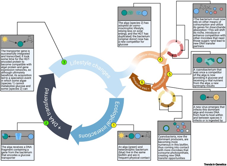 Trends in Genetics tweet media