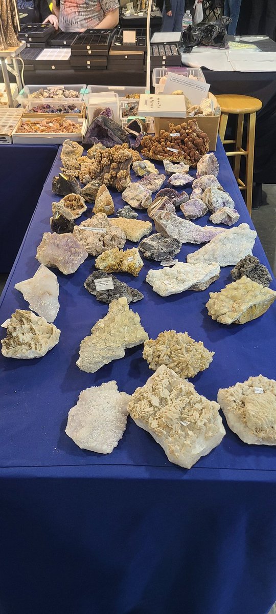 Rachel Haff tweet media