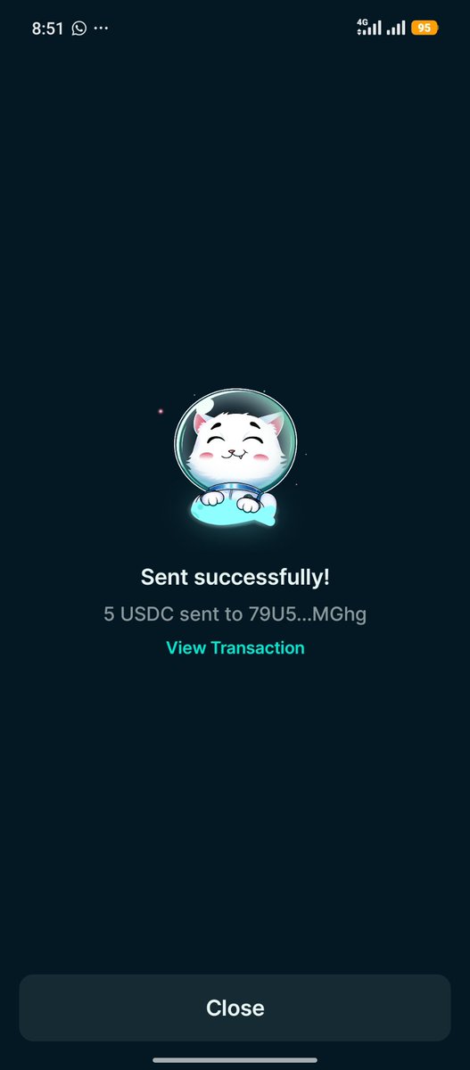 VampCatCoin 🐈 tweet media