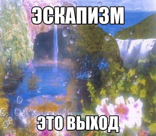 meows 🃏 tweet media