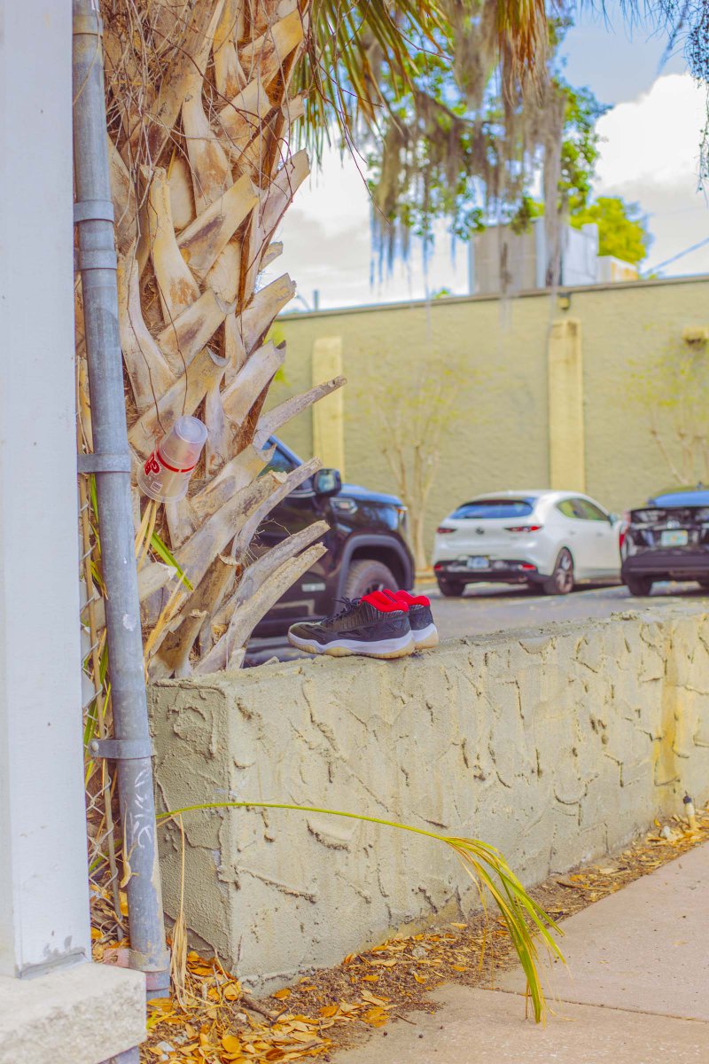 David Lawrence tweet media