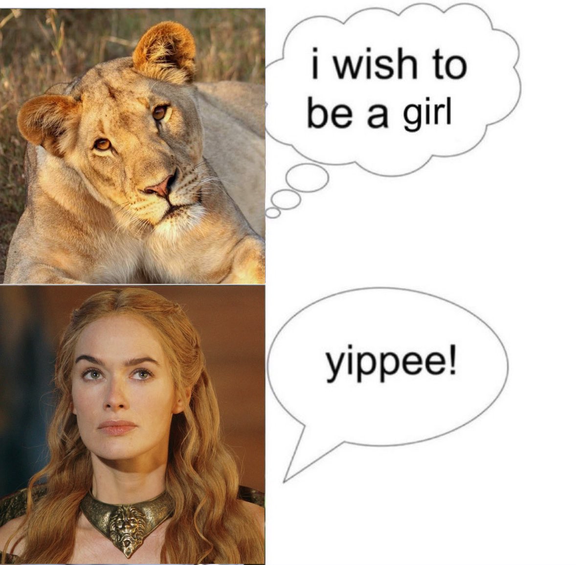 ⋆ ˚｡⋆୨୧˚ (@alicentarchives) on Twitter photo 