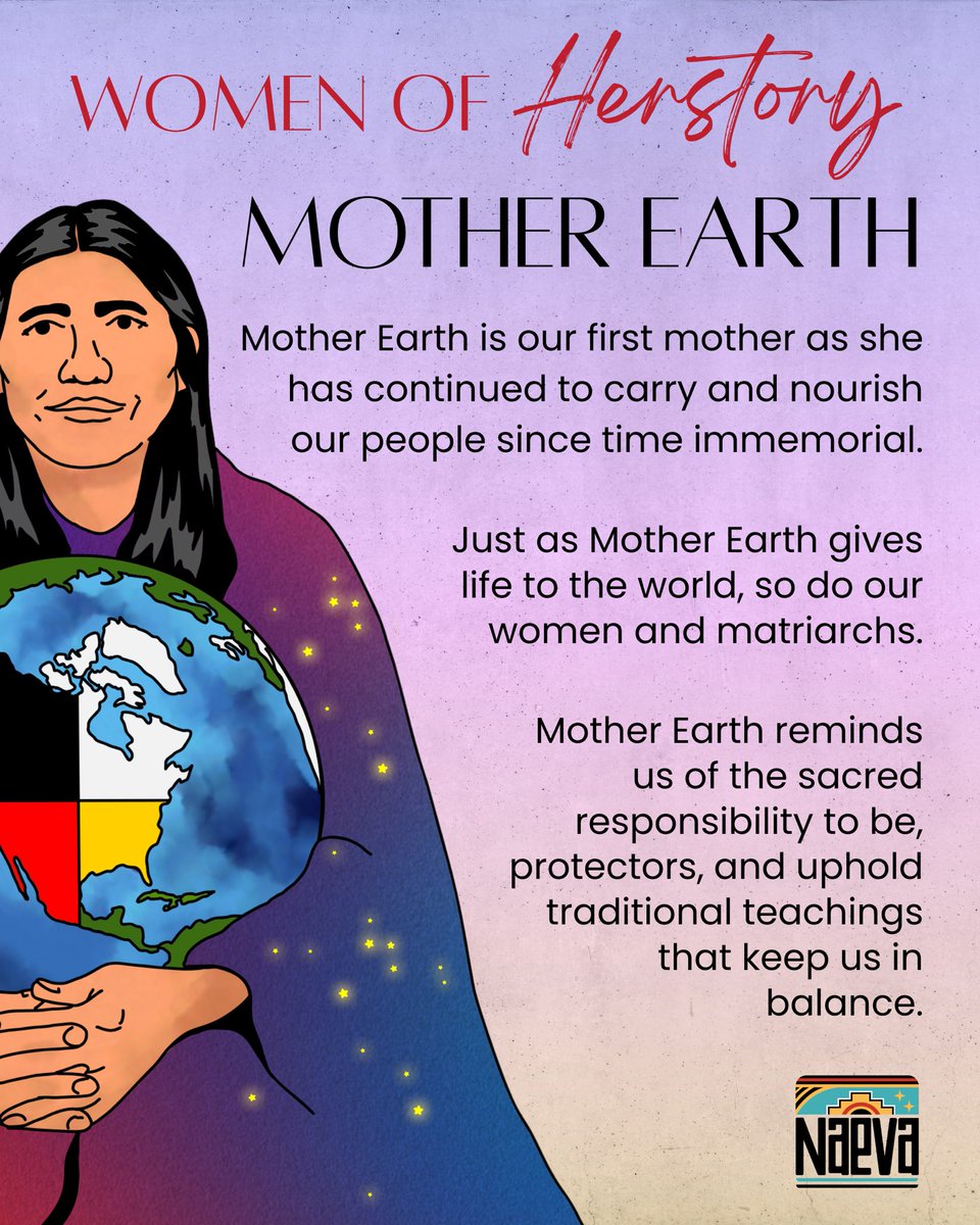 NM Native Vote tweet media