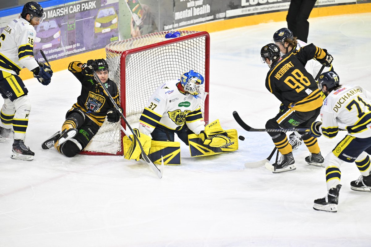 Panthers Images tweet media