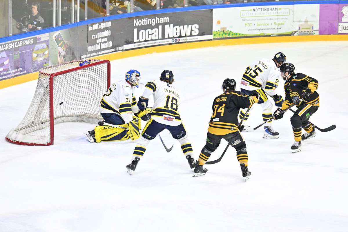 Panthers Images tweet media