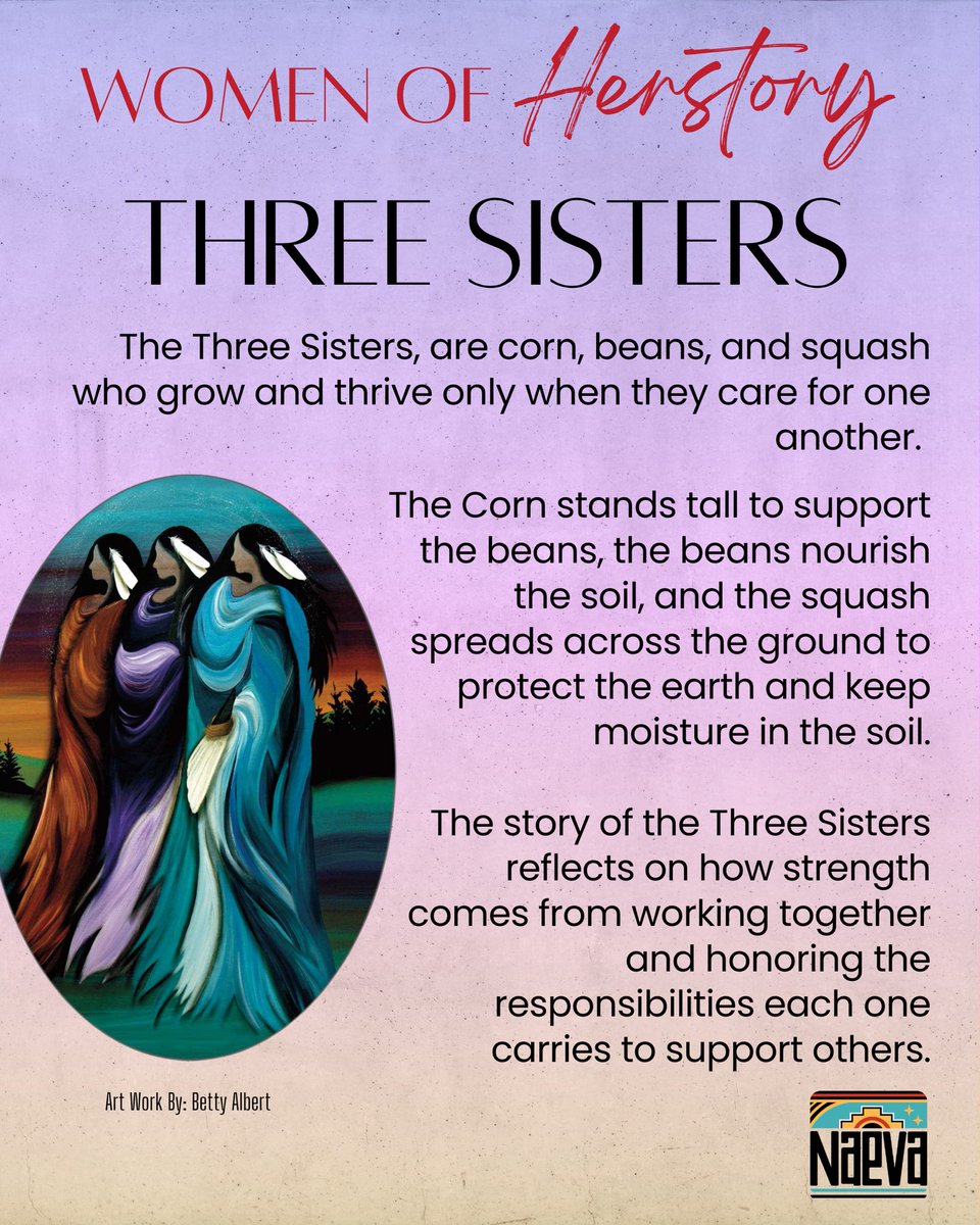 NM Native Vote tweet media