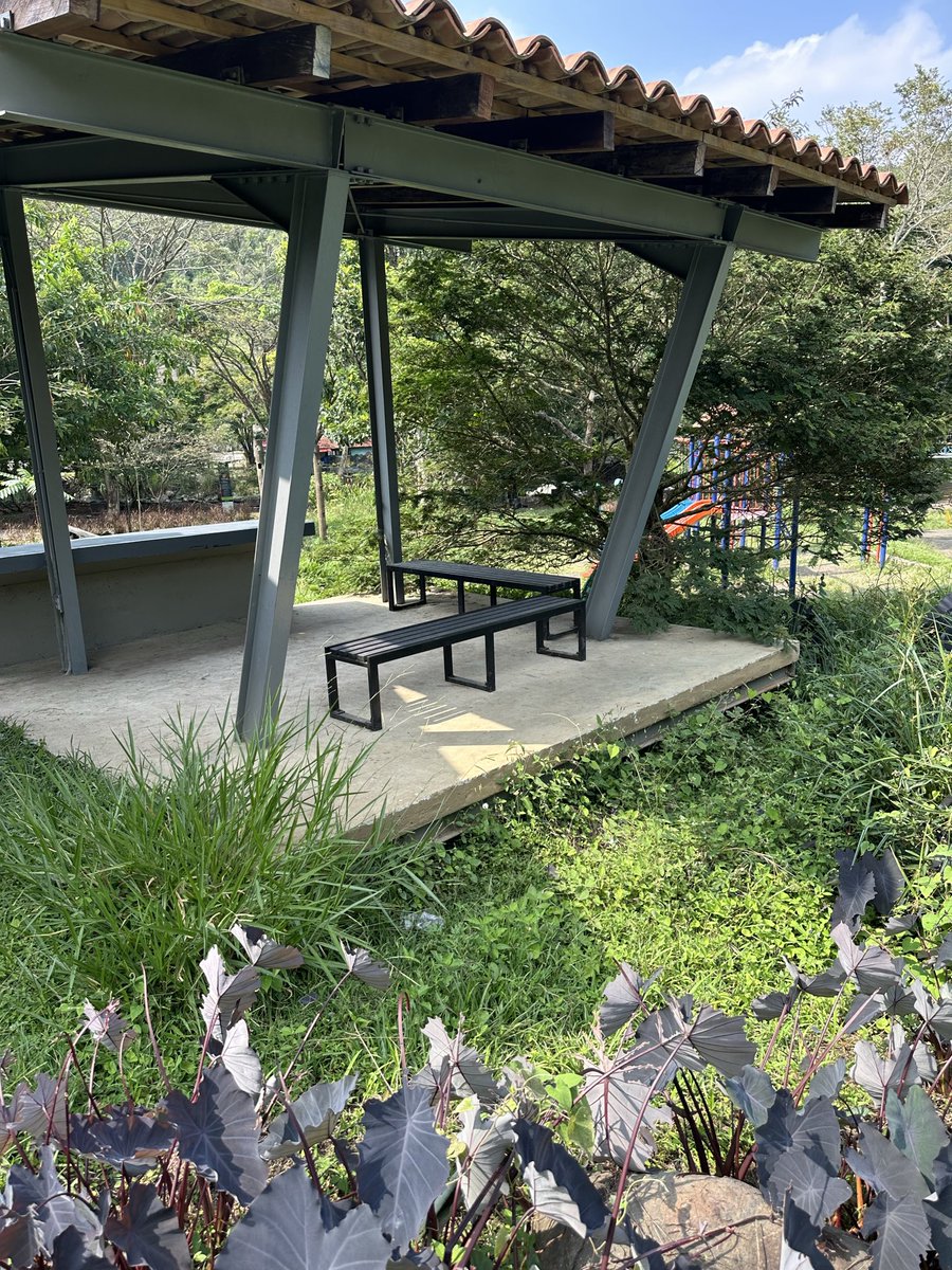 Anthony_AG25 tweet media