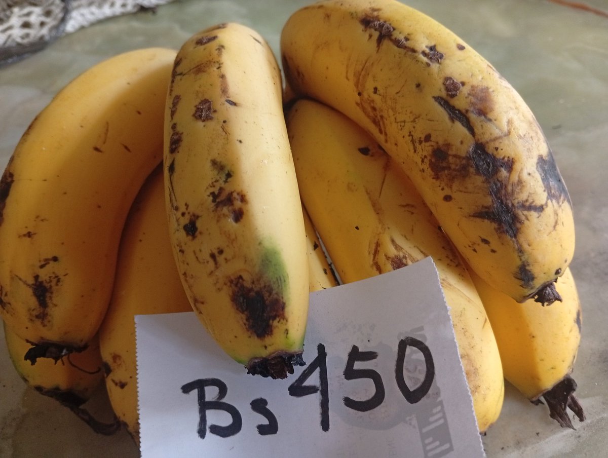 TRUMPH ARREGLANDO LA 
ECONOMÍA DE VENEZUELA 
Un kilo dé cambur en el carrit
450 Bs =  + 1 $
mí PENSIÓN 
130 Bs  = -0, 30 $