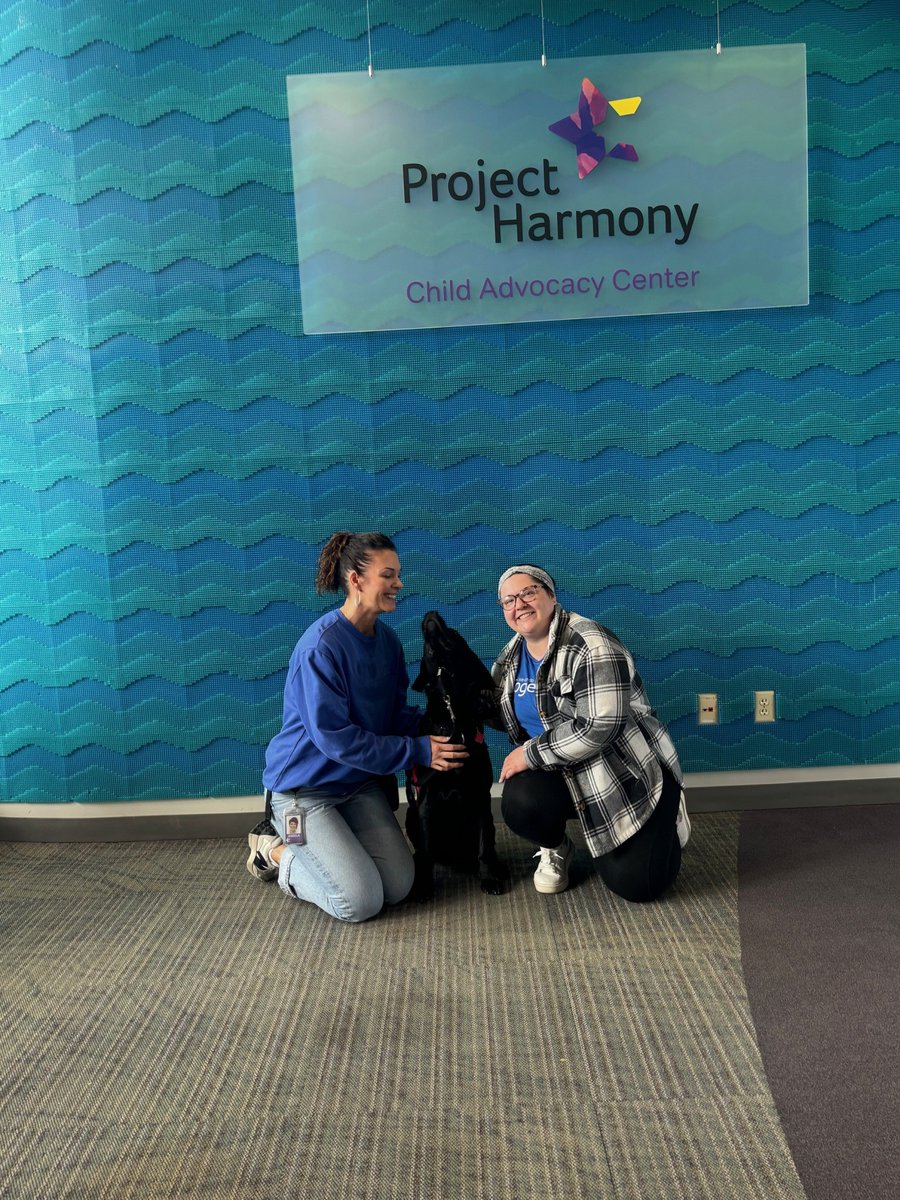 Project Harmony tweet media