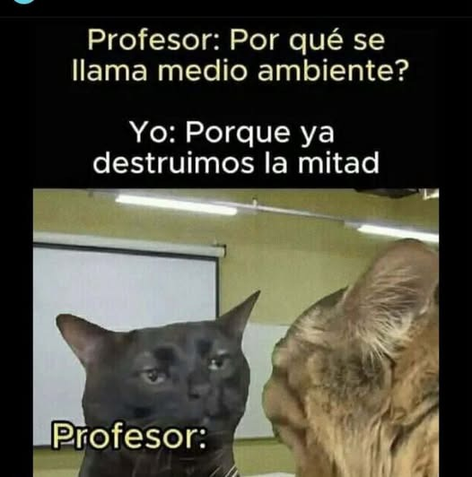 Más Ciencia tweet media