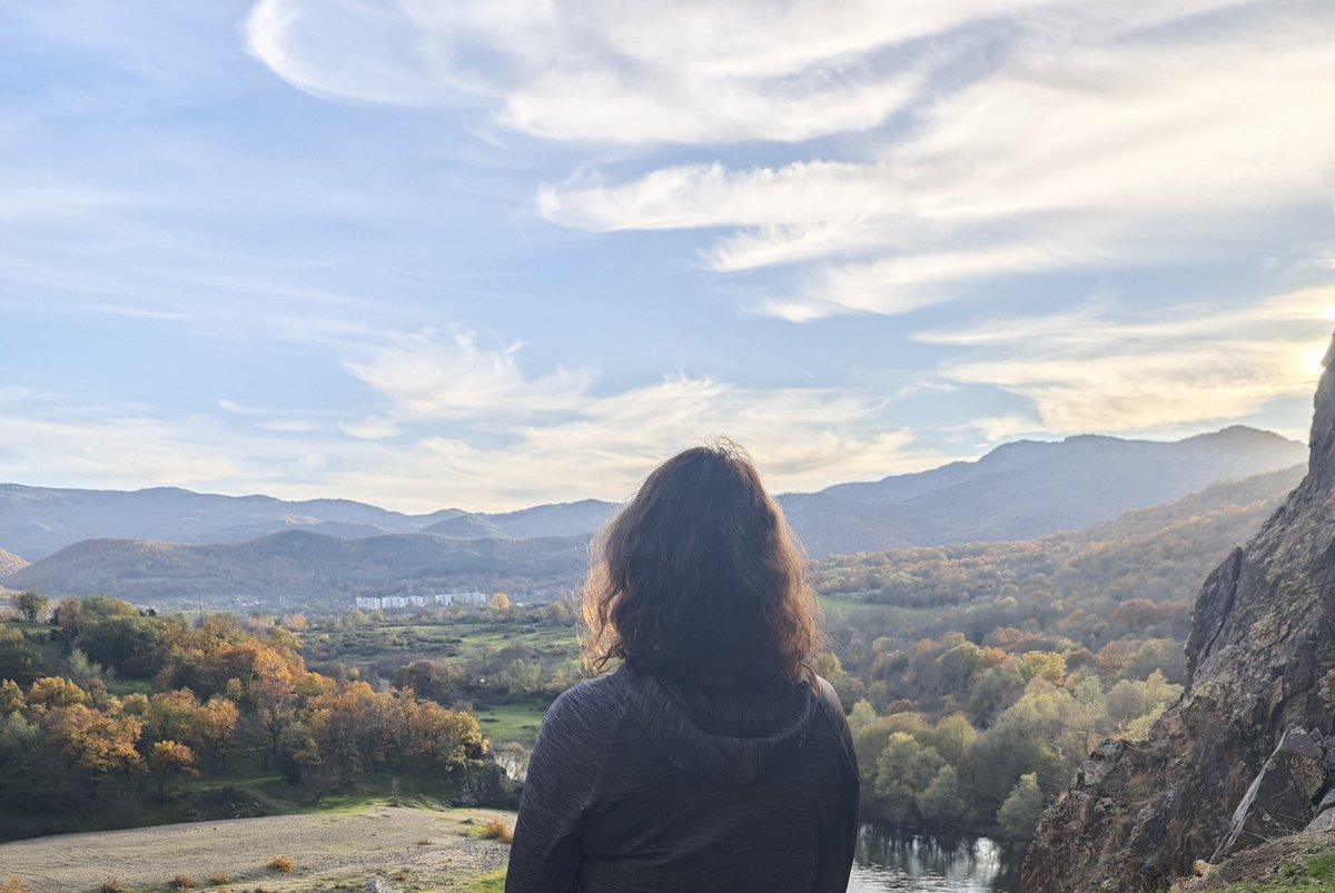 Fraktal Rüya tweet media