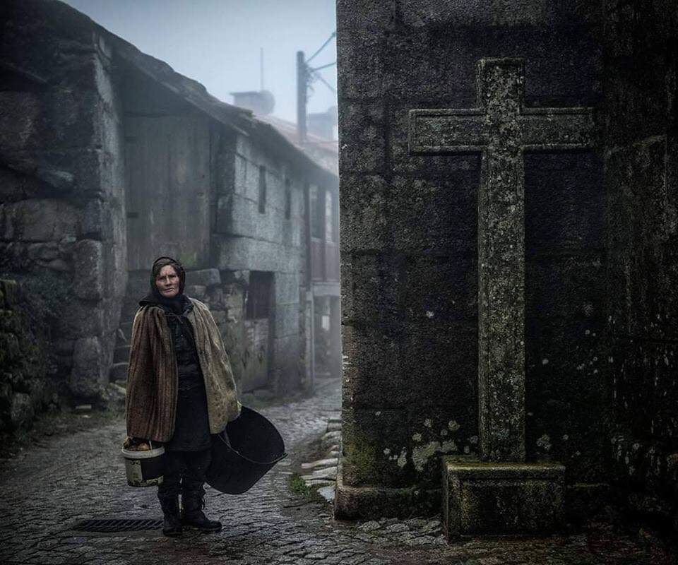 David Baptista Farto tweet media