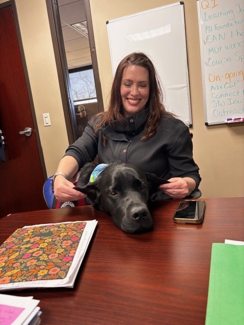 Project Harmony tweet media