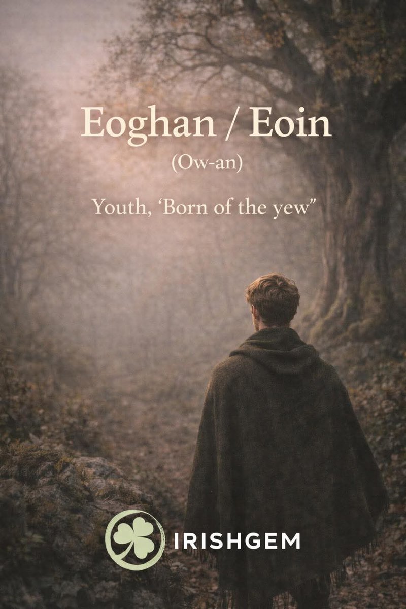 ThisIsIreland3's tweet image. 🌿 Irish Name of the Day 🇮🇪

Looking for a meaningful, unique name for your little one? ☘️

Irish names are rich in history, mythology, strength, beauty &amp;amp; nature. Every single one carries a story from ancient warriors &amp;amp; saints to poets, dreamers &amp;amp; kings 🇮🇪

#Irishnames #Ireland