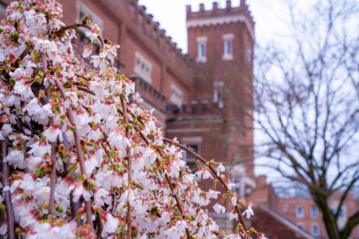 Culver Academies tweet media