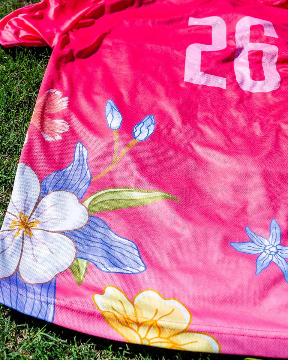 Sugar Land Space Cowboys tweet media