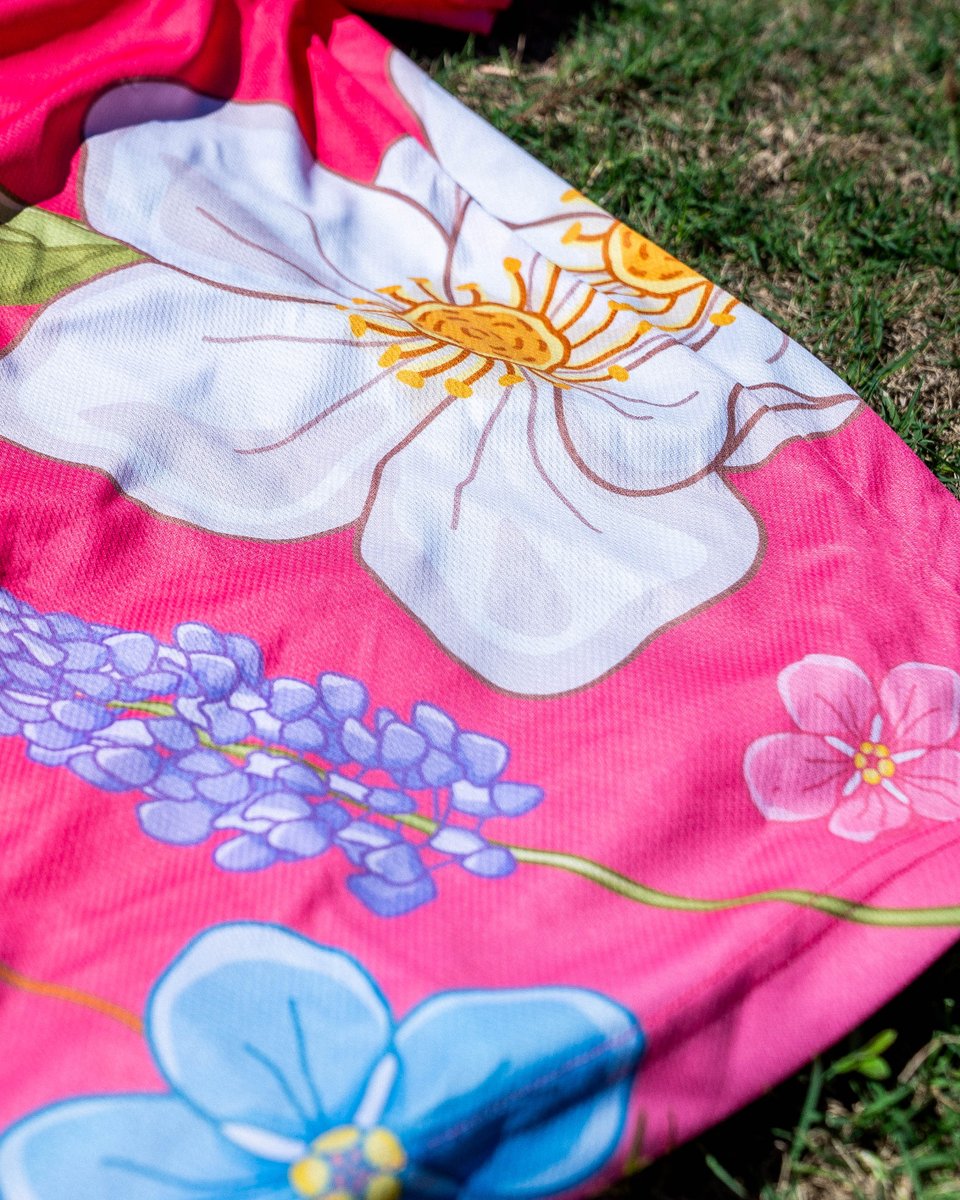 Sugar Land Space Cowboys tweet media