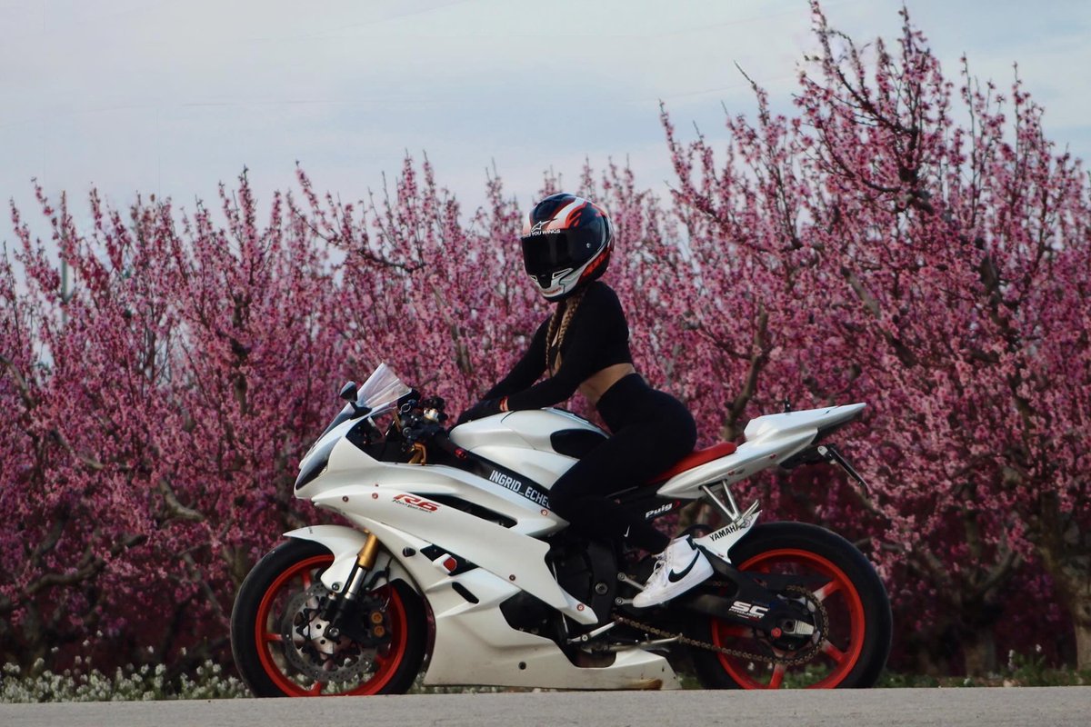 Motorcycles & More tweet media