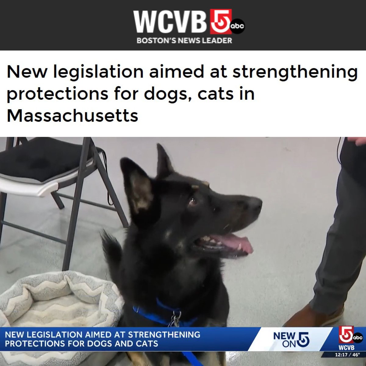 Jason Lewis tweet media