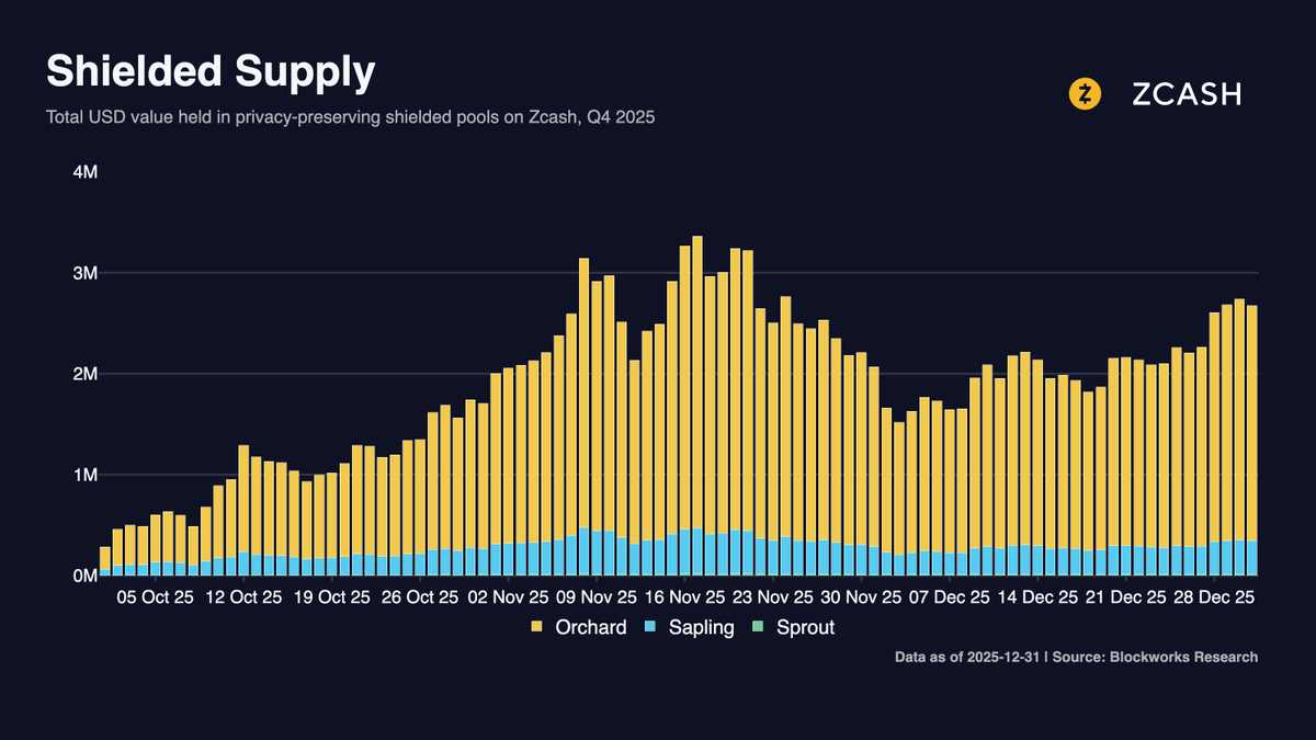 Yano 🟪 tweet media