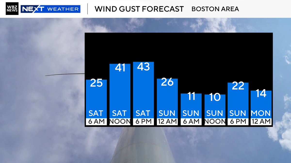 Terry Eliasen tweet media