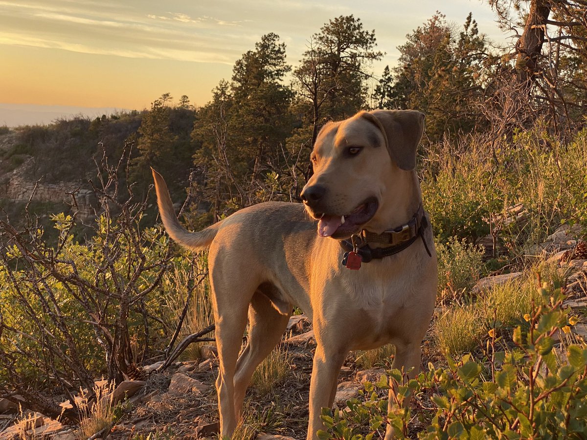 Clint Fix tweet media