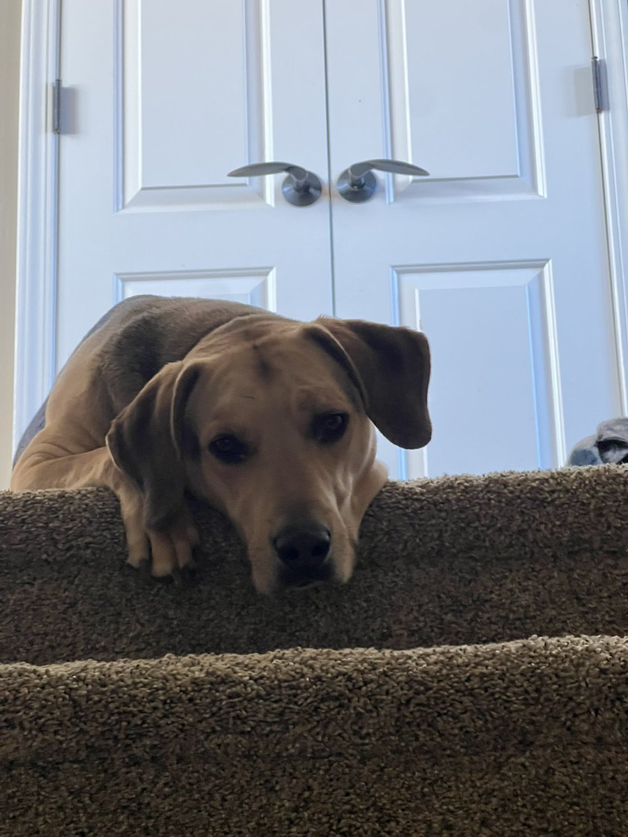 Clint Fix tweet media